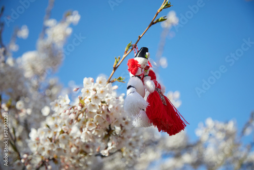 Bulgarian traditional spring decor martenitsa on the blossom tree. Baba Marta holiday.