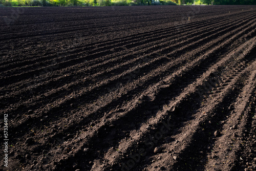 Arable land. A field of black soil. Ploughed field in spring. Agricultural background.