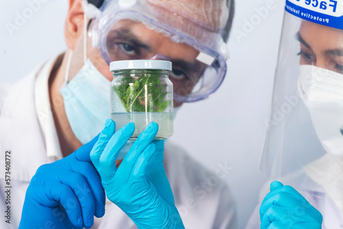 Scientist teams consult together with biochemistry plants tissue culture biotechnology science. Biotech Laboratory teamwork man and woman discuss look at Glass Petri Dish, plants tissue culture jar
