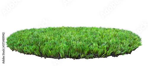 green grass turf isolated on white background 3D illustration, transparent background, png