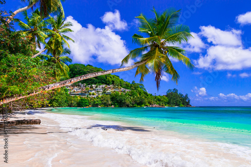 Idyllic tropical nature of exotic Seychelles islands. Palm white sandy beach scenery