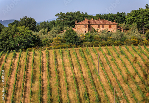 Traditional old stone house at a vineyard amongst the grape vines in the famous Chianti wine Region of Tuscany, Italy