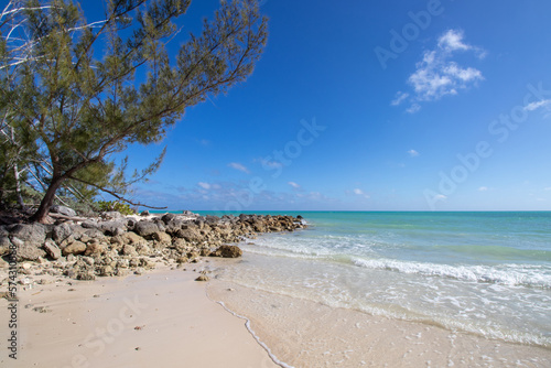 rocks and trees on the beach in the Bahamas