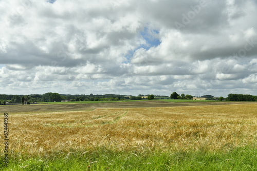 Champ de blé sous un ciel gris près du bourg de Champagne au Périgord Vert 