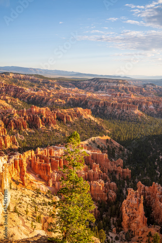 bryce canyon in morning light
