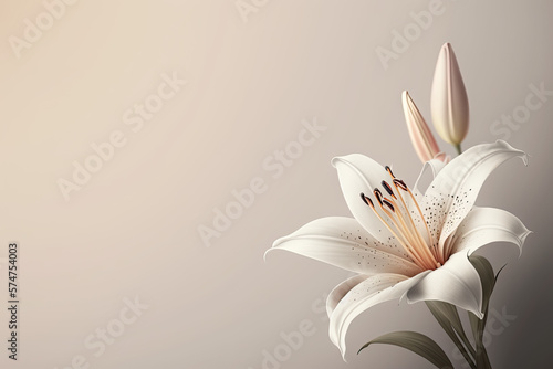 Lilies Flowers spring summer Minimalism Background with empty Copy Space for text - Lilies Backgrounds Series - Lilies background wallpaper texture created with Generative AI technology