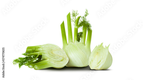 Fresh fennel bulb isolated on a transparent background