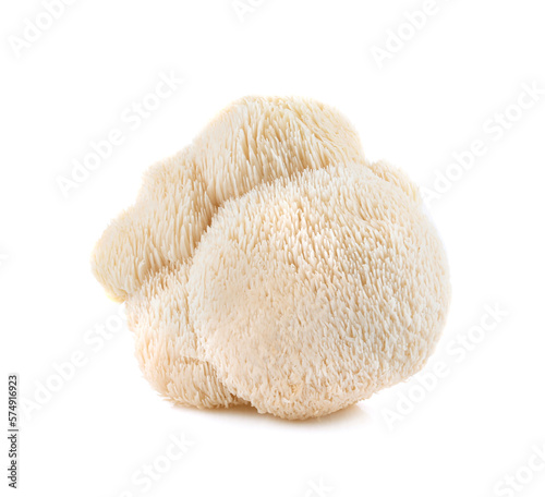 lion mane mushroom isolated on white background