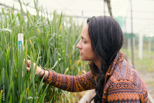 Female native american research assistant on the field in a greenhouse