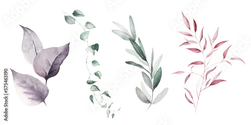 Watercolor floral bouquet branches collection elements set with green pink blush leaves, for wedding invitations, stationery, greetings, wallpapers, fashion, prints. Eucalyptus, olive green leaves.