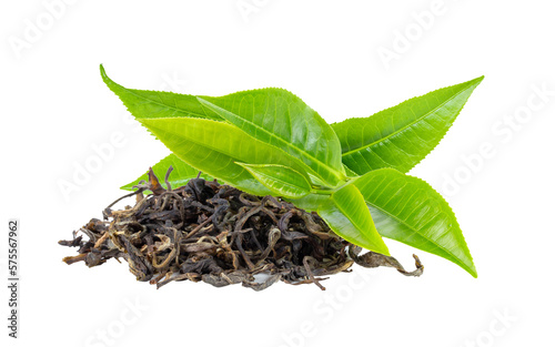 fresh green tea leaf and dry isolated on transparent png