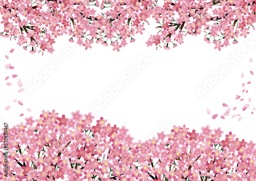 水彩タッチ 桜満開フレーム