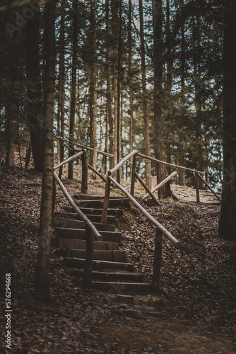 schody w lesie 