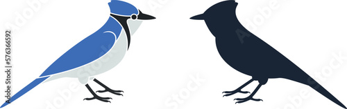 Blue jay logo. Isolated blue jay on white background