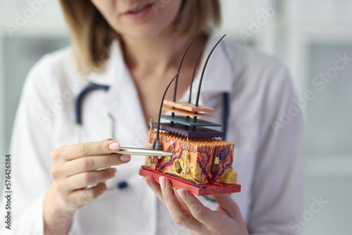 Female dermatologist holding artificial model of human skin with hair