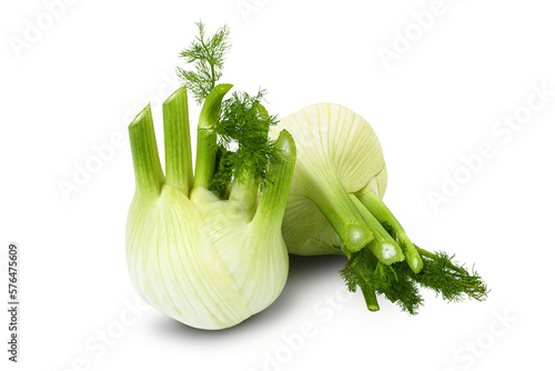 Fresh fennel bulb isolated on a transparent background