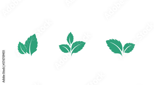 Mint. Icon set. leaves on white background. Vector illustration EPS 