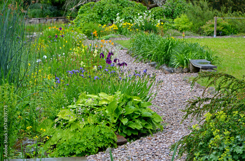 żwirowa ścieżka w ogrodzie, rośliny przy ścieżce w wiejskim ogrodzie, żwirowa alejka, garden path, funkia, irys i jarzmianka (Astrantia, hosta, Iris), designer garden