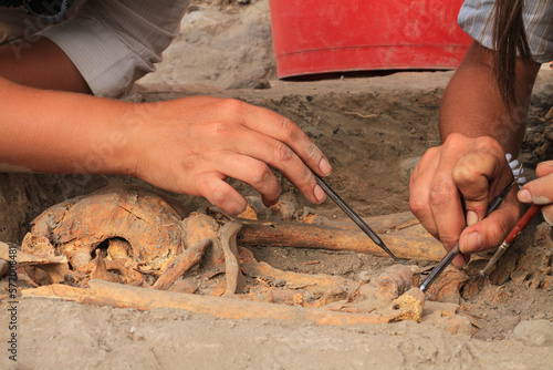 Archaeologist digging graves, archaeology, history, paleontology