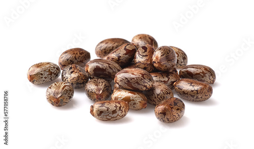 Castor seeds on white background