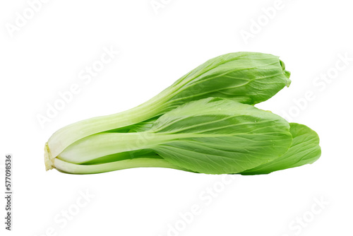 Fresh bok choy vegetable (Chinese cabbage) isolated on white background. Macro shoot