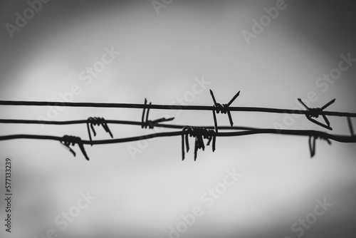 Barbed wire, black and white photo. The concept of prison, crime, safety, border