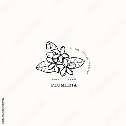 Line art plumeria flowers illustration
