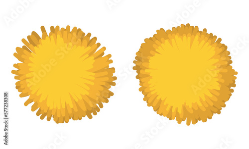 Set of two yellow pompoms isolated over white background, Vector illustration