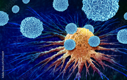 leukocytes attacking a Cancer Cell as oncology or Malignant Cancerous Growth and Metastasis anatomy concept as white blood cells inside the human body 