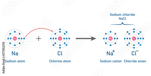 Ionic bonding in sodium chloride atoms. Vector illustration isolated on white background.