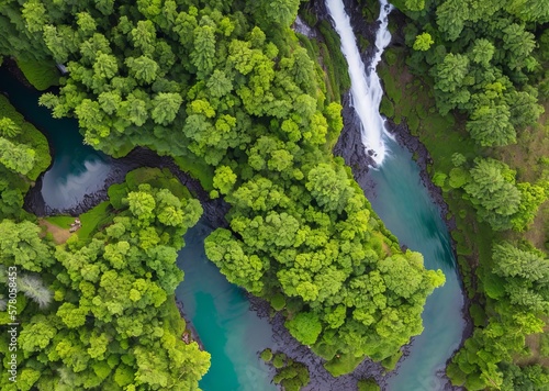 aerial view of the river in the forest