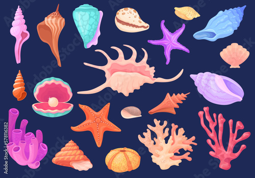 Underwater conches. Cartoon shellfish scallops ocean conch oyster mollusks seashell, beach reef coral sea star pearl shell, tropical aquarium decoration, neat vector illustration