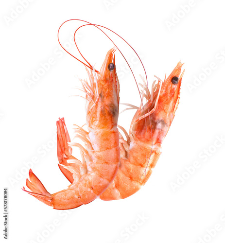 Shrimps isolated on transparent png