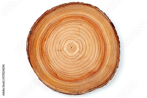 cross cut round pieces of cedar with annual rings isolated on white background.