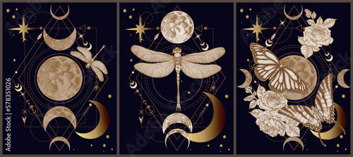 Set of 3 vector mystical illustrations with butterflies, dragonflies, moon, stars, rose flowers on a geometric magical background