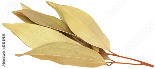 Cassia leaves