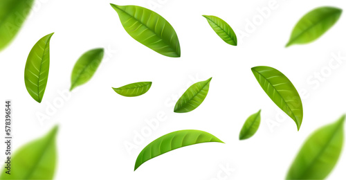 Realistic green tea leaves in motion