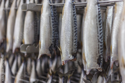 Closeup view of fresh mackerel ready for the process of smoking in the oven.