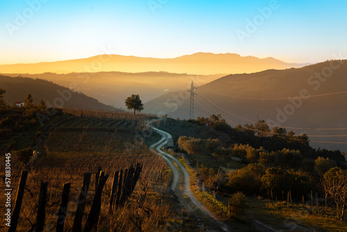 Sunset over ancient terraced vineyards in the romantic Douro Valley near the village of Pinhão, a World Heritage Site