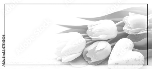 White tulips on white background with black frame.Empty place for emotional, sentimental text or quote. Black and white image AI generated