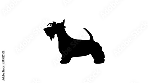 scottish terrier silhouette
