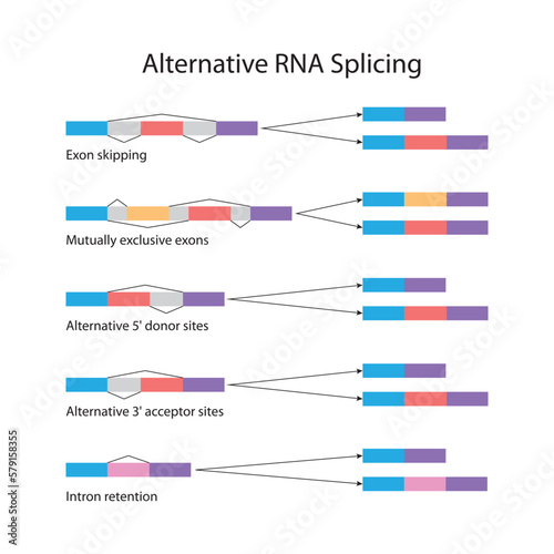 Alternative RNA splicing