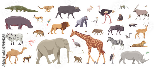 Flat set of africans animals. Isolated animals on white background. Vector illustration