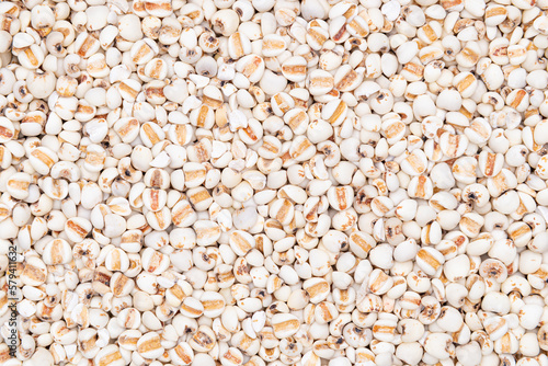 White adlay seed background. Close up Adlay seed or Job's tears wallpaper.