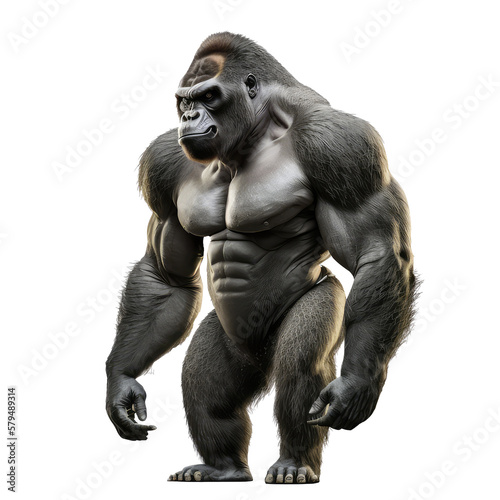 gorilla isolated on white background