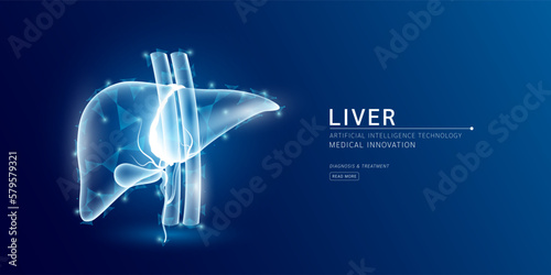 Website template. Human liver anatomy translucent low poly triangles. Futuristic glowing organ hologram on dark blue background. Medical innovation diagnosis treatment concept. Banner vector.