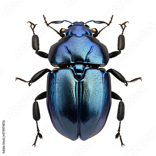 scarabée bleu sur fond transparent - generative ai 