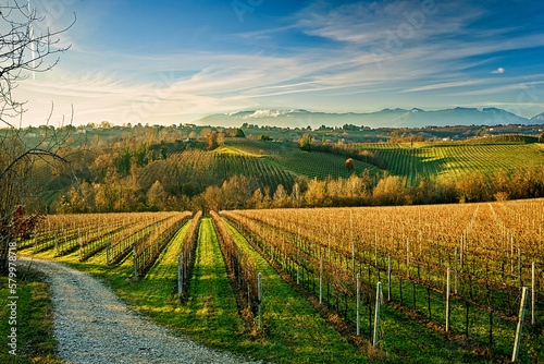 Colli del Prosecco