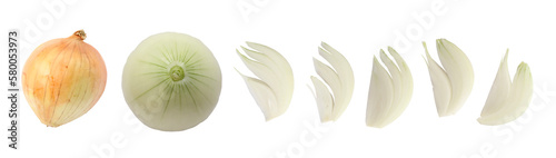 Set of onion and sliced onion isolated on white, transparent background, png