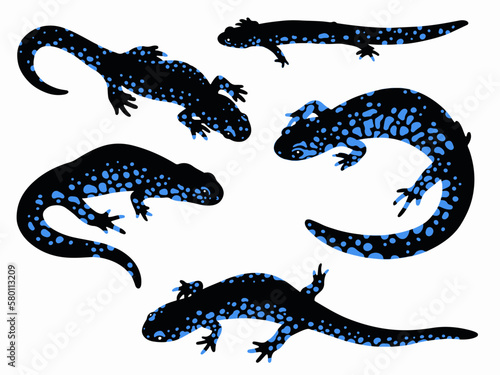 Blue spotted salamanders set illustration isolated on white